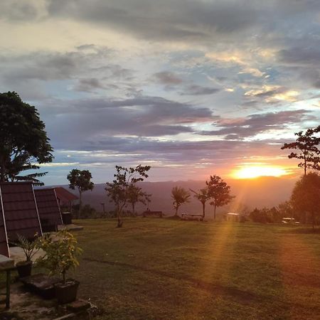 Bugo Camp Glamping & Natural Activity Munduk Exteriör bild