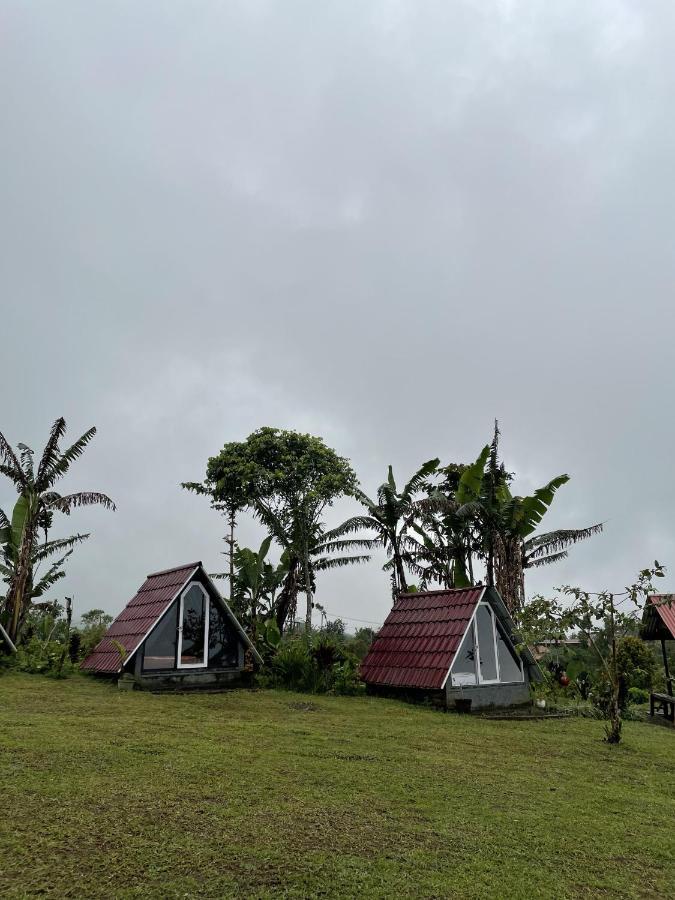 Bugo Camp Glamping & Natural Activity Munduk Exteriör bild