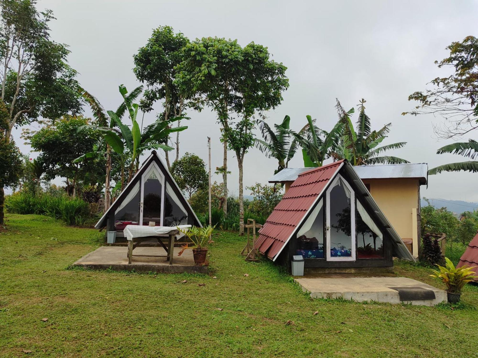 Bugo Camp Glamping & Natural Activity Munduk Exteriör bild